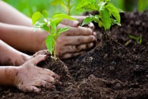 Environment and Sustainable Development